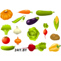 Семена овощей и фруктов